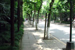 Fudan University Boulevard